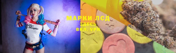 СК Беломорск