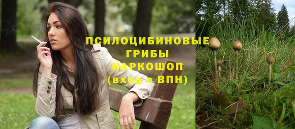 СК Беломорск