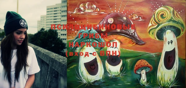 mix Белокуриха