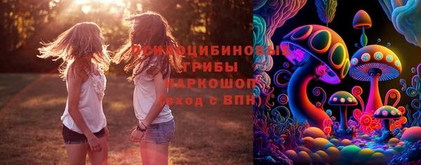 mix Белокуриха