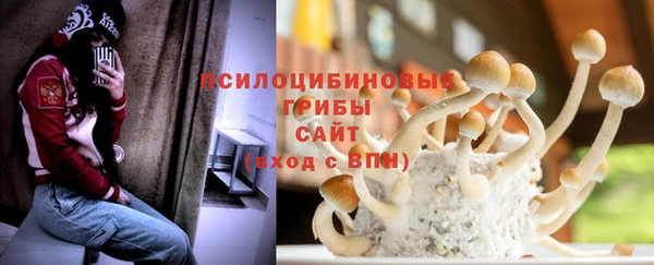 mix Белокуриха